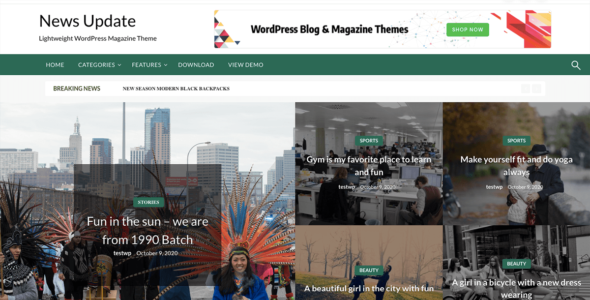 News Update (WordPress)