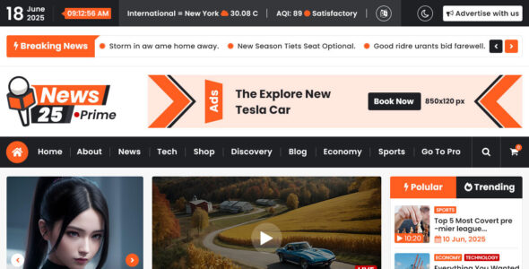 News25 Prime (WordPress)
