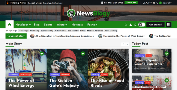 NewsBlogy (WordPress)