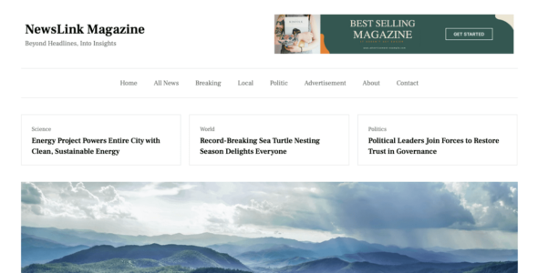 Newslink Magazine (WordPress)
