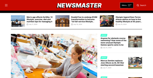 NewsMaster (WordPress)