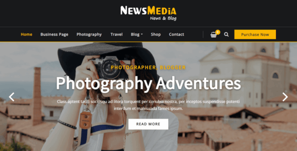 NewsMedia (Theme Arile) (WordPress)