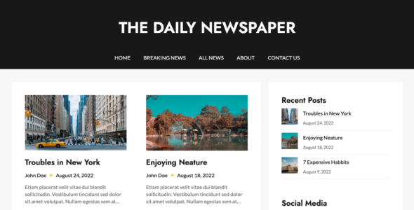 Newspaper Builder (WordPress)
