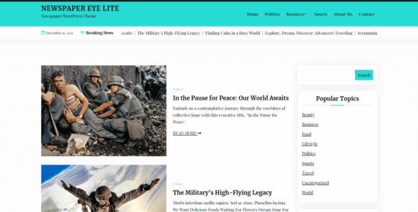Newspaper Eye Lite (WordPress)