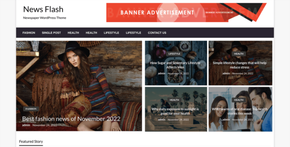 Newspaper Flash (WordPress)