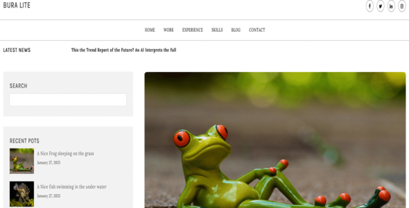 Newstory Blog (WordPress)