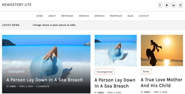 Newstory Lite (WordPress)