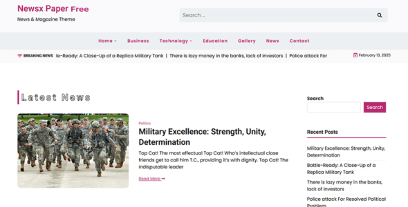 Newsx Paper free (WordPress)