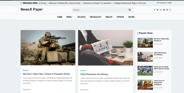 Newsx Paper (WordPress)