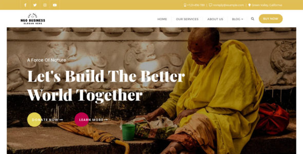 NGO Business (WordPress)