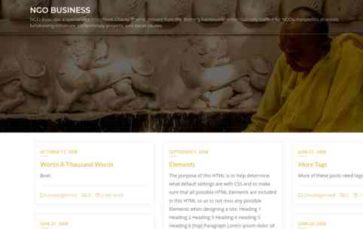 NGO Business (screenshot desktop)