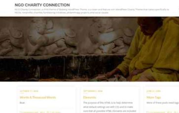 NGO Charity Connection (screenshot desktop)