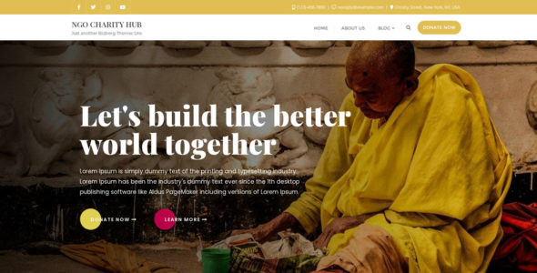NGO Charity Hub (WordPress)