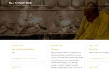 NGO Charity Hub (screenshot desktop)