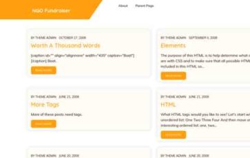 NGO Fundraiser (screenshot desktop)