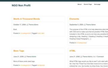 NGO Non Profit (screenshot desktop)