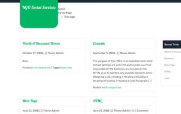 NGO Social Services (screenshot desktop)