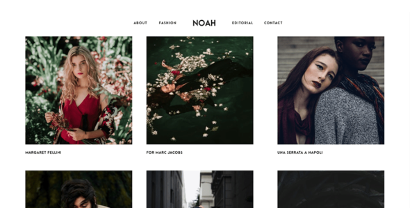 Noah Lite (WordPress)