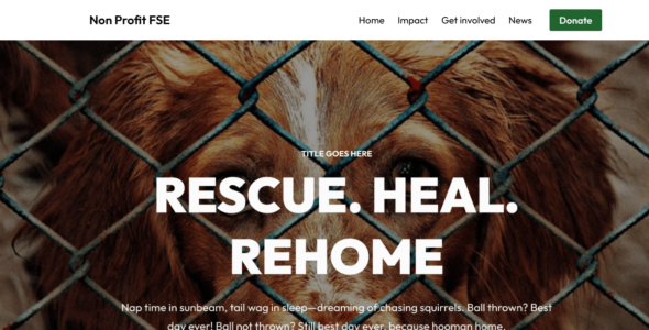 Non Profit FSE (WordPress)