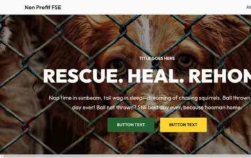 Non Profit FSE (screenshot desktop)