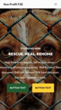 Non Profit FSE (screenshot mobile)