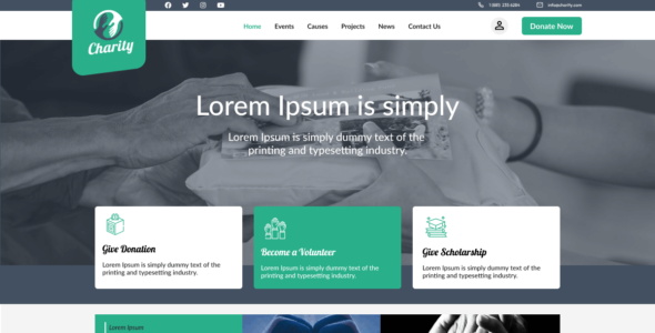 Nonprofit Foundation (WordPress)