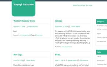 Nonprofit Foundation (screenshot desktop)