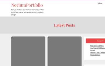 NoriumPortfolio (screenshot desktop)