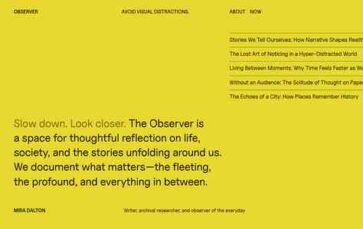 Observer (Automattic) - (screenshot desktop)