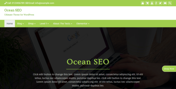 Ocean SEO (WordPress)