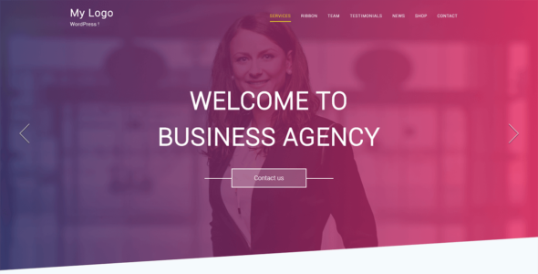One Page Agency (WordPress)