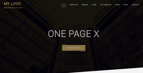 One Page X (WordPress)