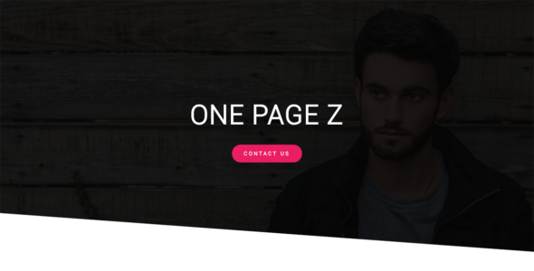 One Page Z (WordPress)