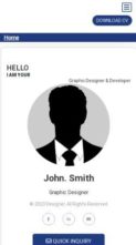 Online Resume (screenshot mobile)