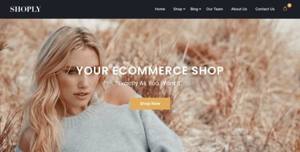 Online Shoply (WordPress)