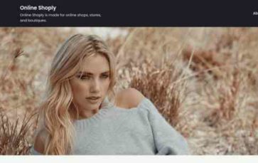 Online Shoply (screenshot desktop)