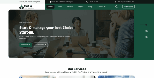 Online Startup Agency (WordPress)