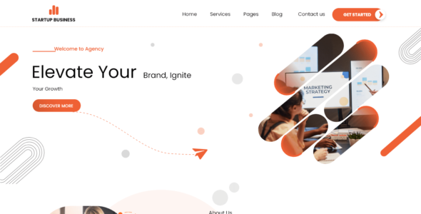 Online Startup Business (WordPress)
