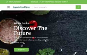 Organic Food Store (screenshot desktop)