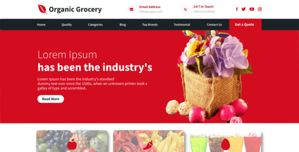 Organic Grocery (WordPress)