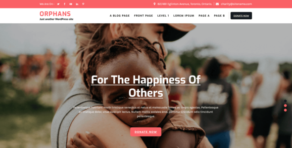 Orphans Lite (WordPress)