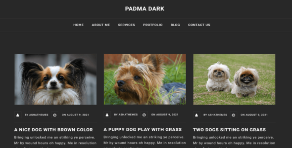 Padma Dark (WordPress)