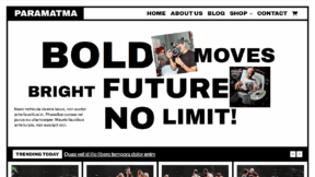 Paramatma (WordPress)