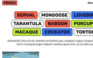 Perch (screenshot desktop)