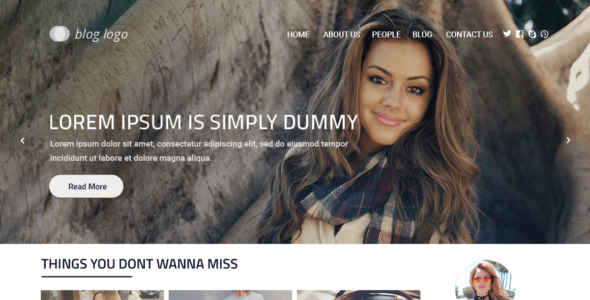 Perfect Blog (WordPress)