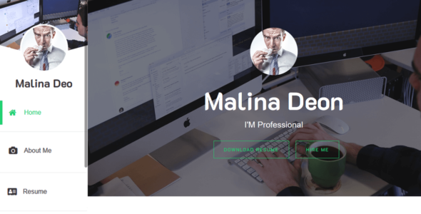 Personal CV Resume (WordPress)