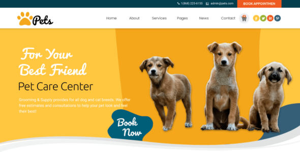 Pet Care Zone (WordPress)