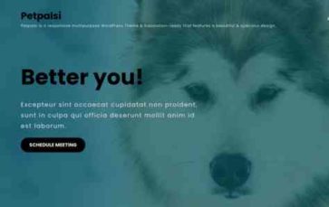 Petpalsi (screenshot desktop)