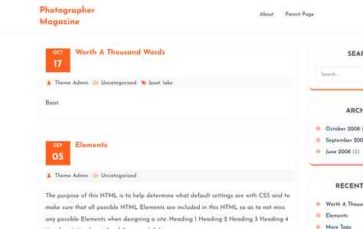 Photographer Magazine (screenshot desktop)