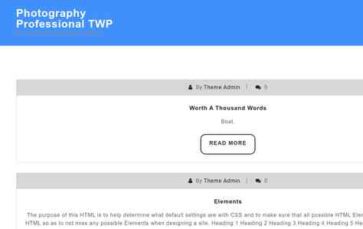Photography Professional TWP (screenshot desktop)